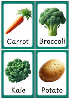 four cards with pictures of different vegetables and their names in green letters, including carrot, broccoli, kale, potato