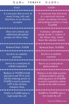 two different types of nadd versus napp and nadd - versus