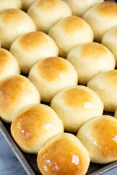 freshly baked rolls in a baking pan ready for the oven to be baked into buns