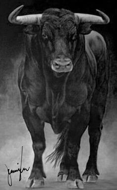 a black and white photo of a bull with horns on it's back legs