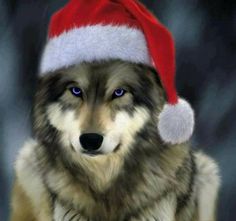 a dog wearing a santa hat with blue eyes