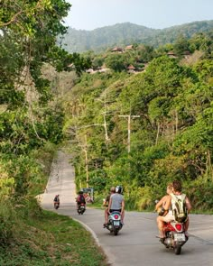 three people riding motorcycles down a road in the middle of some trees and hills behind them