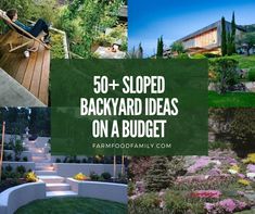 a collage of photos with the words 50 + sloped backyard ideas on a budget