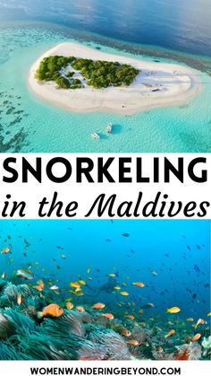 an island surrounded by corals with text overlay reading snorkeling in the maldives