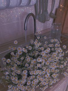 daisies in a kitchen sink with water and utensils