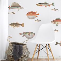 the fish wall decals are perfect for any child's room or playroom