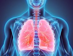 Higher levels of two specific autoantibodies were observed in patients with CTEPH and PAH, suggesting their use as diagnostic tools, a study shows. Natural Asthma Remedies, Pleural Effusion, Asthma Remedies, Detox Kur, Healthy Lungs, Chronic Obstructive Pulmonary Disease, Lungs Health, Pulmonary Disease, Heart And Lungs