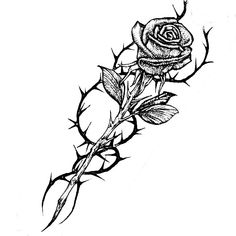 a black and white drawing of a rose