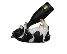 a black and white cow laying down with a wine bottle in it's mouth