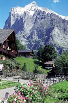 the mountains are covered in snow and flowers