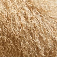 closeup of the texture of a sheep's wool with long, curly hair