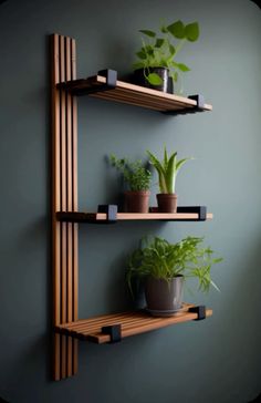 three wooden shelves with plants on them against a gray wall in the corner of a room