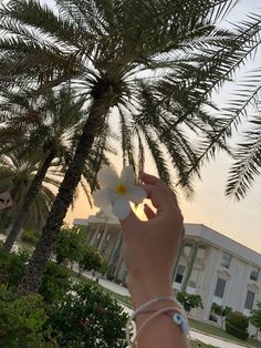 a person is holding a flower in front of some palm trees and a white building