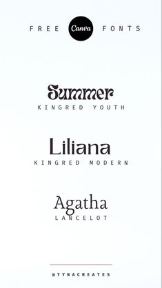 four different types of font and numbers on a white background with the words summer, kinged youth, lilana, kingsred modern, agatha lancelot