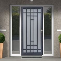 the front door to a house with two potted plants on either side and one planter outside