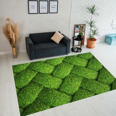 a living room with a couch, rug and potted plants on the floor in front of it