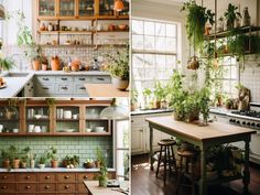 the kitchen is decorated with plants and pots