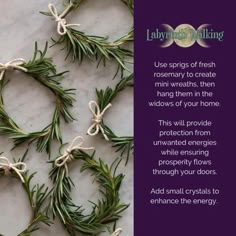 rosemary wreaths tied up with twine and rope on marble background, text reads ladybird walking use sprigs of fresh rosemary to create miniwrits, then hang them in the windows