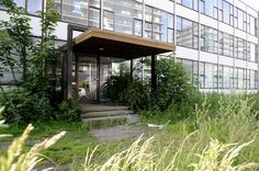 an abandoned building in front of some tall grass and bushes with windows on the side