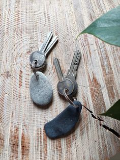 three keys laying on top of each other next to a plant and some rocks with leaves