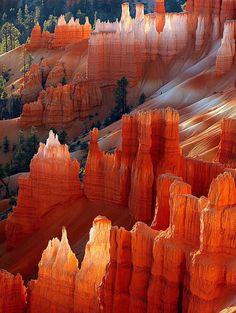 Bryce Canyon, Mother Nature, Utah, National Parks, Forest, United States, History, Nature