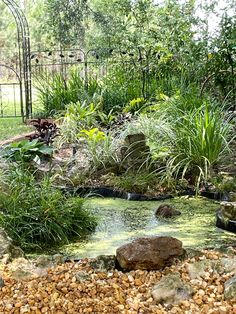 a small pond surrounded by rocks and plants