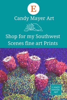 the front cover of candy mayer art shop for my southwest scenes fine art print collection