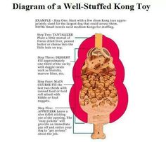 diagram of well - stuffed kong toy with instructions on how to use it for storage