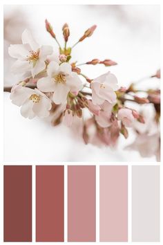 the color scheme is red, pink and brown with white flowers on it's branches