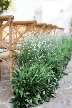 a wooden bench sitting next to a row of plants on a stone floor covered ground