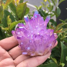 60-75G Rare beautiful purple aura quartz crystal cluster Purple Aura Quartz, Purple Aura, Purple Flame, Aura Quartz Crystal, Aura Crystals, Angel Aura Quartz, Crystal Crafts, Purple Crystal