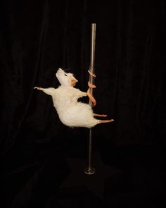 a stuffed animal is hanging upside down on a pole with one leg in the air