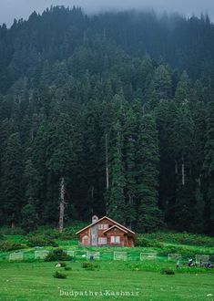 a house in the middle of a field with trees behind it and foggy sky