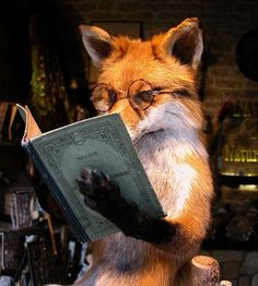 a fox is holding a book in its paws