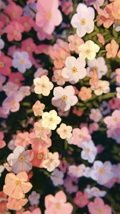 many small white and pink flowers together