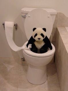 a stuffed panda bear sitting on top of a toilet