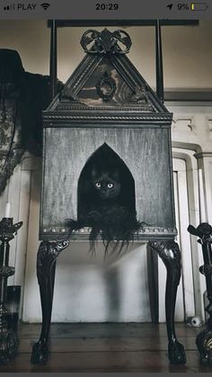 a black cat hiding in an old wooden cabinet with the door open to reveal it's face