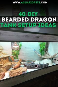 a fish tank with an image of a bearded dragon in it and the words 40 diy bearded dragon tank setup ideas