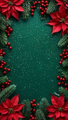 a green background with poinsettis and evergreen leaves