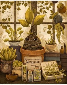 a painting of plants and books in front of a window with the words mandrake written on it