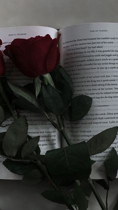 a single red rose sitting on top of an open book