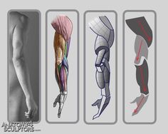 three different views of the muscles and their corresponding parts are shown in this drawing technique