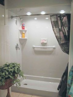 a bathroom with a shower, toilet and bathtub next to a potted plant