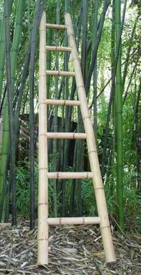 a ladder made out of bamboo sticks in the woods