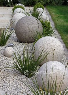 some very pretty rocks and plants in the grass