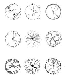 six different types of trees with leaves and flowers on them, all drawn in black ink