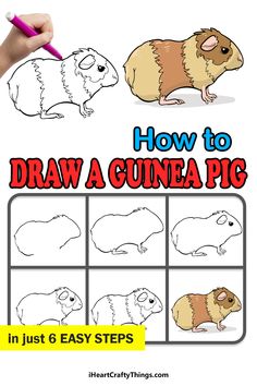 how to draw a guinea pig in just 6 easy steps with step by step instructions