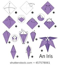 step by step instructions how to make origami an iris bird with wings and tail