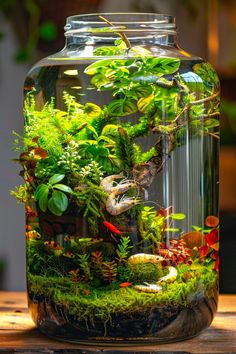 an aquarium filled with plants and rocks on top of a wooden table