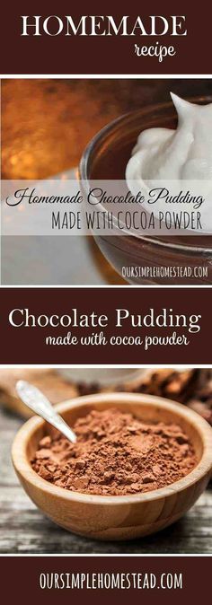 chocolate pudding with cocoa powder in a bowl